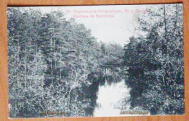 Открытка старинная "Окрестности Сестрорецкаго Курорта На р. Сестре" №5700